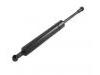 氣彈簧 Gas Spring:211 980 04 64