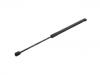 氣彈簧 Gas Spring:4L0 823 359