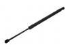 氣彈簧 Gas Spring:1T0 827 550 H