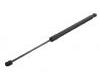 氣彈簧 Gas Spring:5N0 827 550