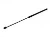 氣彈簧 Gas Spring:LR025379