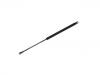 氣彈簧 Gas Spring:68156 156AB