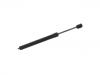 氣彈簧 Gas Spring:222 980 01 64