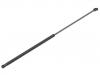 氣彈簧 Gas Spring:AW93-16C826-AC