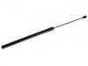 氣彈簧 Gas Spring:1R12-640784-AB