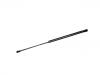氣彈簧 Gas Spring:4T0 827 552 B