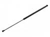 氣彈簧 Gas Spring:50 10 578 586