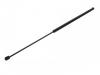 氣彈簧 Gas Spring:1857 143
