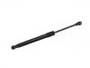 氣彈簧 Gas Spring:84430-8Y000
