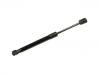 氣彈簧 Gas Spring:6R33-63406A10-BB