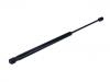 氣彈簧 Gas Spring:8W9 827 552 B