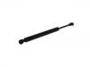 氣彈簧 Gas Spring:C2P15420