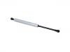 氣彈簧 Gas Spring:4G43-406A10-AC