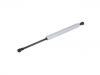 氣彈簧 Gas Spring:6G33-406A10-AC