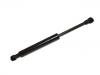 氣彈簧 Gas Spring:3W8 827 550 G