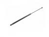 氣彈簧 Gas Spring:5FA 827 550 B