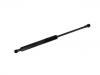 氣彈簧 Gas Spring:DG43-406A10-AB