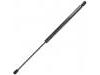 氣彈簧 Gas Spring:82 00 119 498