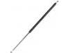 氣彈簧 Gas Spring:82 00 174 571