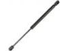 氣彈簧 Gas Spring:82 00 119 497