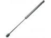 氣彈簧 Gas Spring:51736746