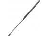 氣彈簧 Gas Spring:90452-AV700