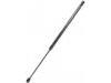 氣彈簧 Gas Spring:81770-17031