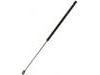 氣彈簧 Gas Spring:2S51-B406A10-AC