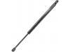 氣彈簧 Gas Spring:3M51-A406A10-AB