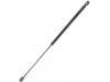 氣彈簧 Gas Spring:6M21-R406A10-AD