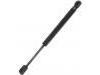氣彈簧 Gas Spring:5M51-F406A10-AA