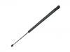 氣彈簧 Gas Spring:215 880 00 29