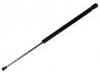 氣彈簧 Gas Spring:6Q0 823 359