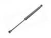 氣彈簧 Gas Spring:8J0 823 359 C