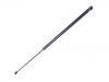 氣彈簧 Gas Spring:8T0 823 359
