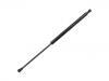 氣彈簧 Gas Spring:81161-3D000
