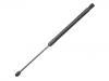 氣彈簧 Gas Spring:4F9 827 552 E