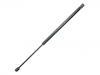 氣彈簧 Gas Spring:60 25 300 735