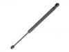 氣彈簧 Gas Spring:90 45 100 01R