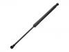 氣彈簧 Gas Spring:82 00 385 560